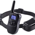 Collar adiestramiento Decathlon Collar adiestramiento Decathlon