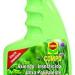 Plantas del Lidl Plantas del Lidl