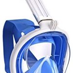 Snorkel Decathlon