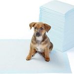 Empapadores para perros Mercadona