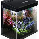 Acuario Carrefour