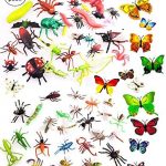 Insectos Carrefour Insectos Carrefour