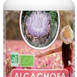 Alcachofas Mercadona Alcachofas Mercadona