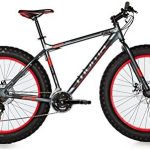 Bicicletas ruedas gordas Carrefour