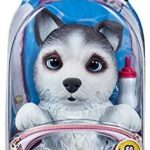 Little live pets Carrefour