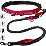 Canicross material Decathlon Canicross material Decathlon
