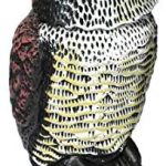 Espanta palomas Leroy merlin
